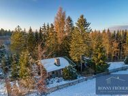 Naturparadies in Schnarrtanne - Ihr Gartenhaus am Waldrand und Badesee + Kaminofen & Fußbodenheizung - Auerbach (Vogtland)