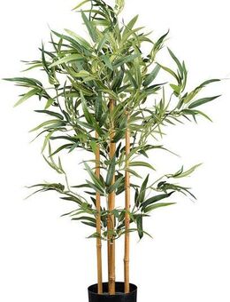 Kunstbaum Bambus Bambus, Creativ green, Höhe 105 cm, mit echten Bambusstäben