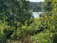 Einfamilienhaus mit Seeblick (provisionsfrei) - Bad Arolsen