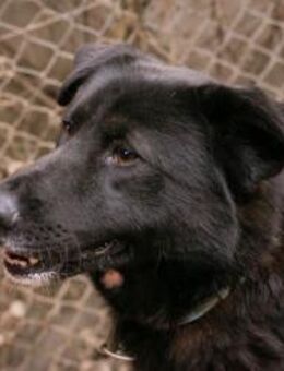 RIO -spielen, lernen, toben immer wieder - Overath