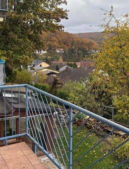 Geräumige 3 ZKB Wohnung in ruhiger Lage - Neunkirchen (Saarland)