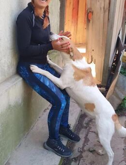 Lilly sucht verzweifelt ihre Familie - Schwerte (Hansestadt an der Ruhr)