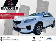 Kia XCeed 1.4 T-GDi*Garantie*NAVI*KAMERA*DAB*SHZ* - Lübben (Spreewald)