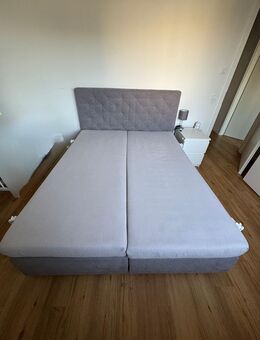 Boxspringbett in grau - Berlin Spandau