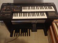 Yamaha Keyboard zu verschenken - Schönwalde (Bungsberg)