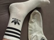 Gay: getragene Socken zu verkaufen - Düsseldorf