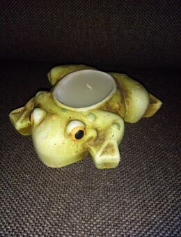 Frosch Kerze / Kerzenhalter - Essen