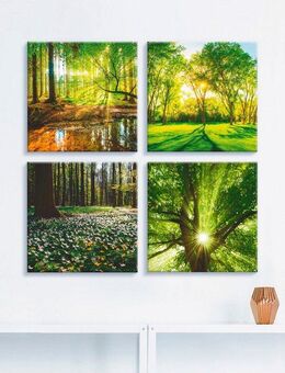 Artland Leinwandbild Wald Bach Frühling Windrosen Sonne Baum, Wald (4 St), 4er Set, verschiedene Größen