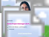 Senior Project Manager (Fachwirt, Betriebswirt Schwerpunkt Event-Management, Wirtschaft, Finanzen o. ä.) als Product Owner Fachmesse IT Trans (m/w/d) - Karlsruhe
