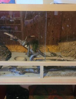 Terrarium - Leverkusen