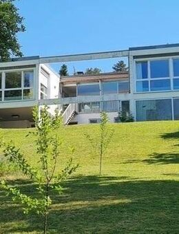 Lichtdurchflutetes Architektenhaus mit Einliegerwohnung und großem Grundstück! - Bad Mergentheim