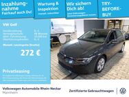 VW Golf, 1.0 TSI VIII Life Gar2029, Jahr 2024 - Mannheim