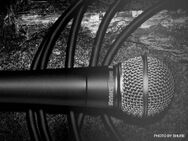 Mikrofon Shure Beta58 Standard Gesangsmikrofon Verleih / Mieten - Wismar