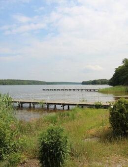 Zwischen Elbe und Rudower See :-) - Lenzen (Elbe)