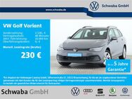 VW Golf Variant, 1.5 TSI Life, Jahr 2024 - Gersthofen