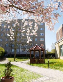 schicke 2 Raum Wohnung in ruhiger Wohnlage - Plauen