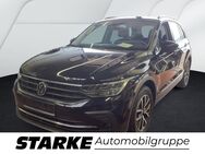 VW Tiguan, 2.0 TDI Life, Jahr 2021 - Georgsmarienhütte