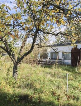 Schönes Erholungsgrundstück mit gestaltbarem Bungalow - Jessen (Elster)