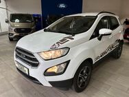 Ford EcoSport Cool & Connect - Plauen