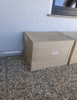 Transportkisten - Guldental