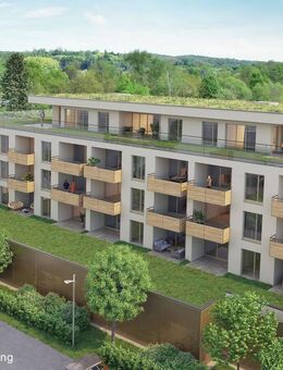 Leben am Schönberg WE B03 - Aschaffenburg