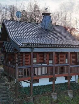Finnisches Blockbohlenhaus mit Kamin, Keller & Listerblick - Attendorn (Hansestadt)