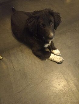 Er sucht sein für immer - Bergkamen