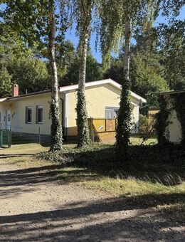 Altengerechtes Einfamilienhaus mit Ferienwohnung - Plau (See)