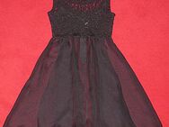Chiffon Spitzen Top Gr. 34 - Worms