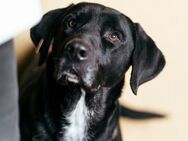 Conrad sucht seine Menschen - Berlin