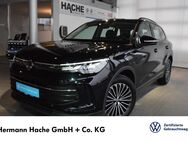 VW Tiguan, 2.0 TDI Life, Jahr 2024 - Blomberg (Nordrhein-Westfalen)