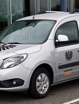 Mercedes Citan W415 Renault Kangoo Reparatur CD Service WIS Werkstatthandbuch DVD - Bad Heilbrunn