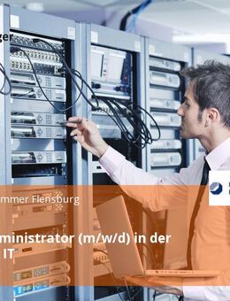 Systemadministrator (m/w/d) in der Stabstelle IT - Flensburg