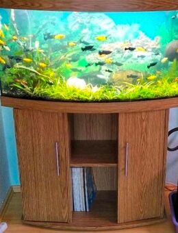 Juwel Aquarium Vision 180 - Heroldstatt