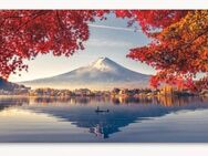 Wand Bild Mount Fuji - Hitzacker (Elbe)