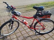 Mountain Bike Marke : HARO ESCAPE Series 7000 - Nienburg (Weser)