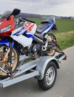 TPV / Böckmann - Motorradanhänger zu vermieten / leihen für bis zu 3 Maschinen - Ebstorf (Klosterflecken)
