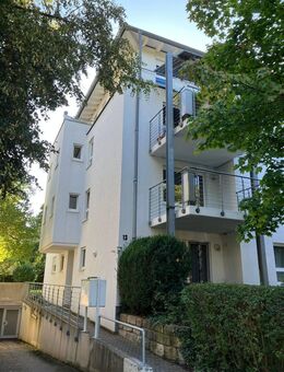 Moderne 2-Zimmer-Wohnung mit Balkon in Striesen-West, 01309 Dresden - Dresden