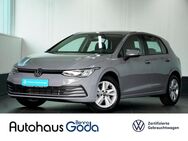 VW Golf, 1.5 TSI Life, Jahr 2023 - Damme