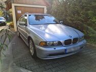 BMW 530i A Touring E39 (Steuerkette gerissen) - Thale