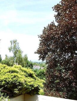 Repräsentative Terrassenwohnung - stilvoll, modern, außergewöhnlich und PROVISIONSFREI - Dreieich