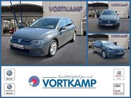 VW Golf, VIII Lim Life eTSI, Jahr 2020 - Gronau (Westfalen)