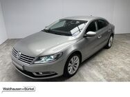 VW Passat CC, 2.0 TDI, Jahr 2014 - Mönchengladbach