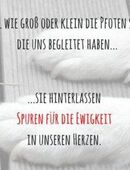 13 Artikel für Hunde*Hundespielzeug etc.*NEU/wie neu*siehe Bilder in 41352