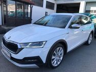 Skoda Octavia 2.0 TDI DSG Combi Scout 4x4 - KAM AHK - Kassel