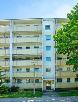 1-Zimmer Wohnung! - Dresden