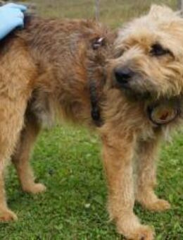 Yugo wartet auf dich - München