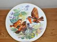 Hutschenreuther Sammelteller  15 € in 51149