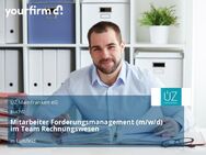 Mitarbeiter Forderungsmanagement (m/w/d) im Team Rechnungswesen - Lülsfeld