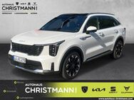 Kia Sorento, 2.2 CRDi PLATINUM PE PREMIUM-PAKET, Jahr 2024 - Worms